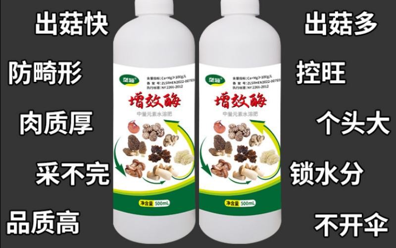 香菇增产王增效酶,种菇农户增产好帮手