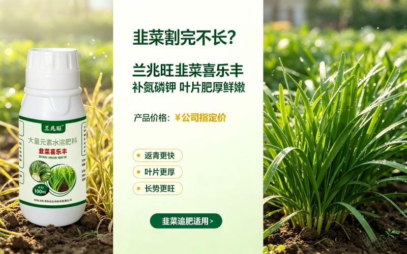 韭菜越割越细?补对氮磷钾,一茬更比一茬旺