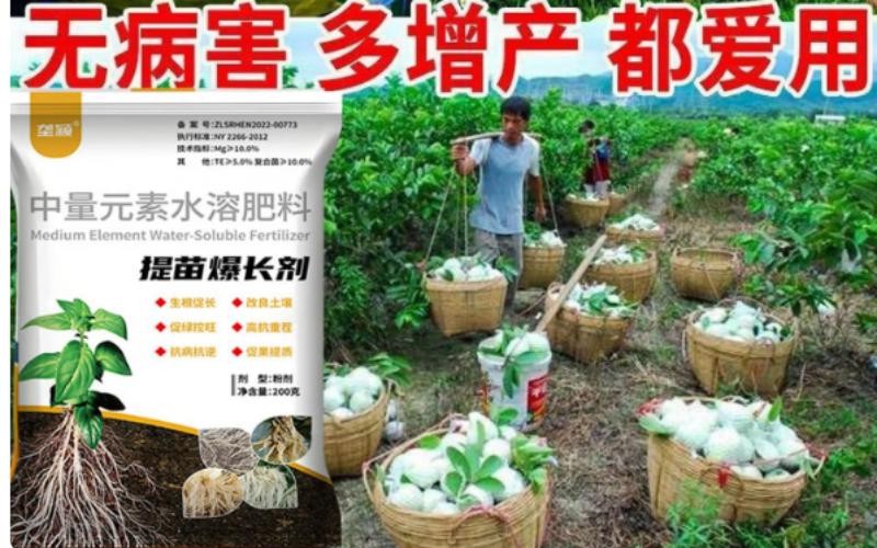 弱苗僵苗救星！生根壮棵，抗病增产，种地都爱用