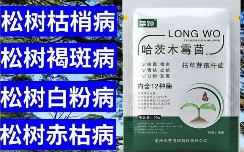 色抑菌改土,专治作物土传病害