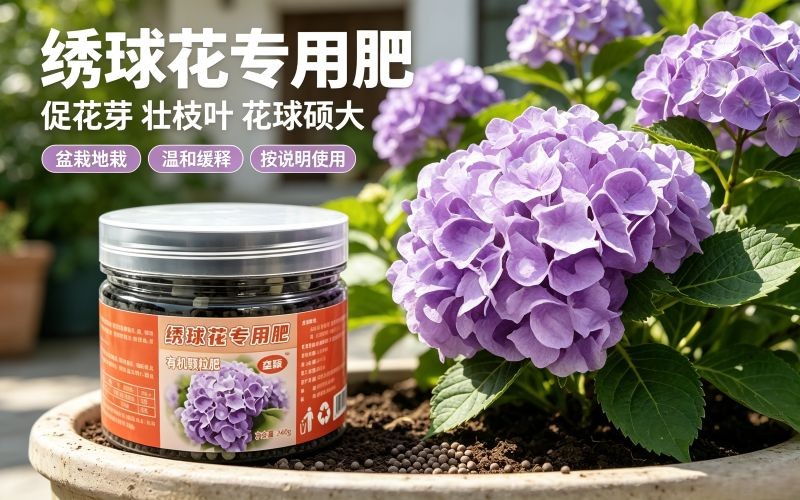 绣球花专用有机颗粒肥,枝壮花大,开花爆盆