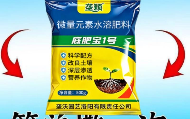 养好土地壮好苗,一季丰收有依靠