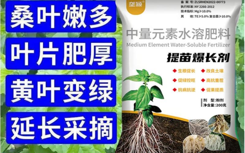 垄颖提苗爆长剂,种桑养蚕好帮手