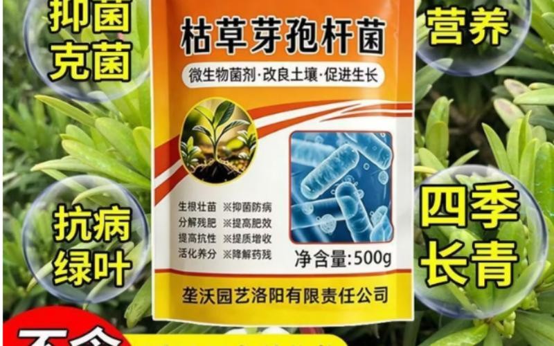 垄颖枯草芽孢杆菌,养好土壤促作物健康生长