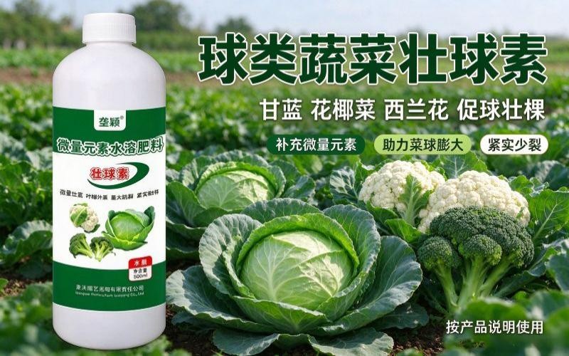 垄颖壮球素，微量元素水溶肥，花椰菜包菜促球壮棵好帮手