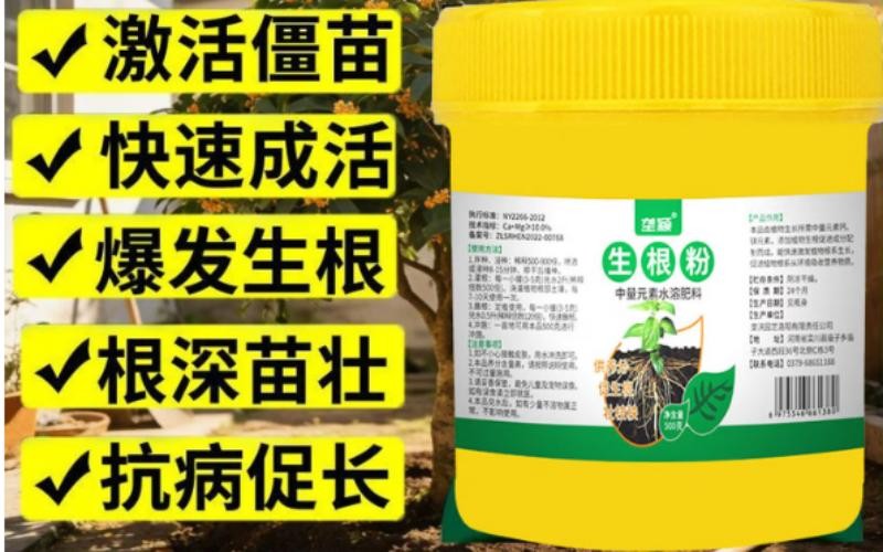 垄颍生根粉,爆根壮苗,移栽扦插好帮手