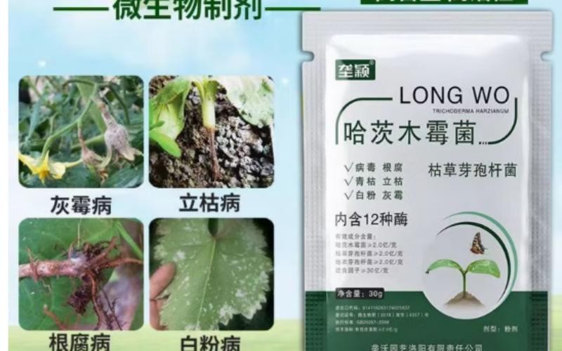 哈茨木霉菌微生物菌剂,防治根腐立枯白粉灰霉,护根抗重茬