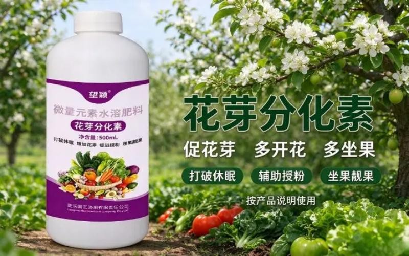 做好花芽分化管理，用好花芽分化素，助力花果提质