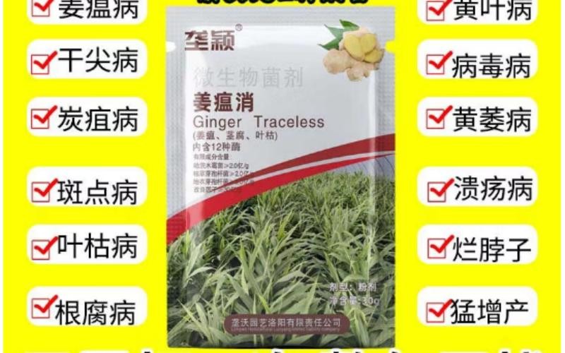 生姜病害急救神器!垄颖姜瘟消,种姜农户的好帮手