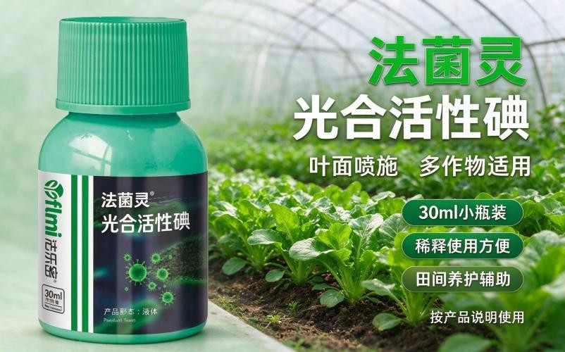 田间作物养护，法菌灵光合活性碘实用分享