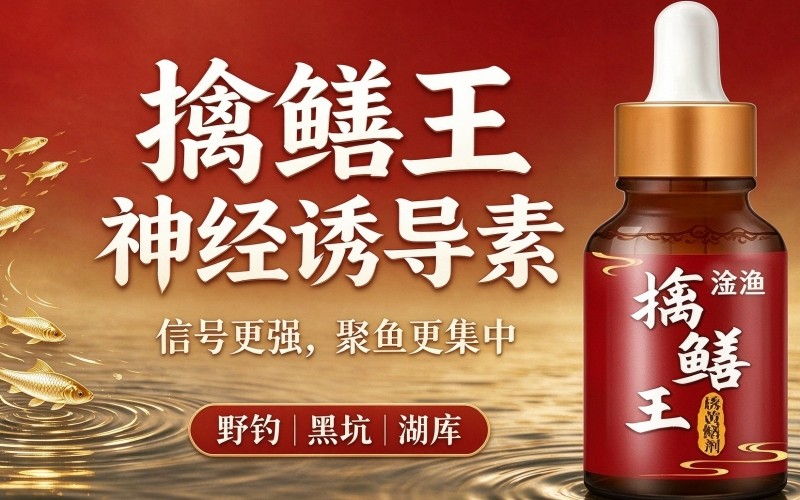 擒鳝王神经诱导素 鳝鱼诱鱼剂 野钓黑坑聚鱼开口