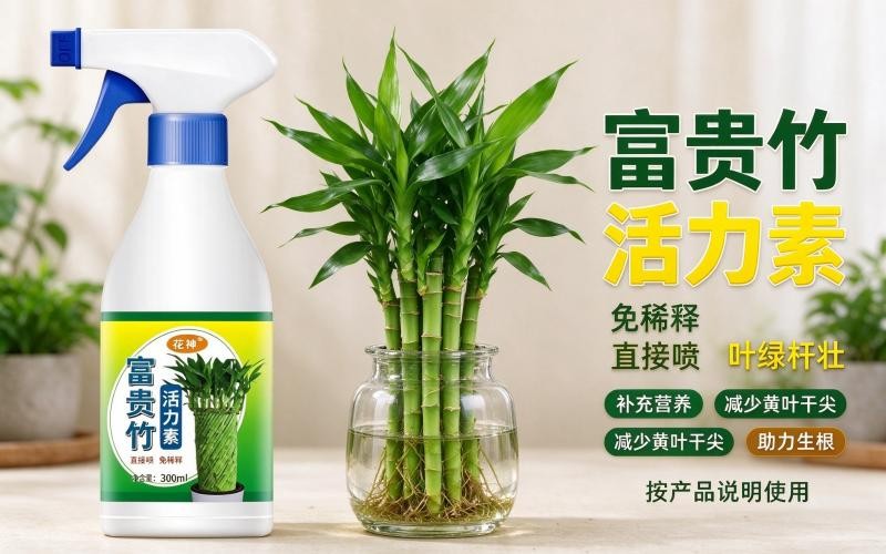 富贵竹营养液活力素 家用盆栽免稀释叶面肥