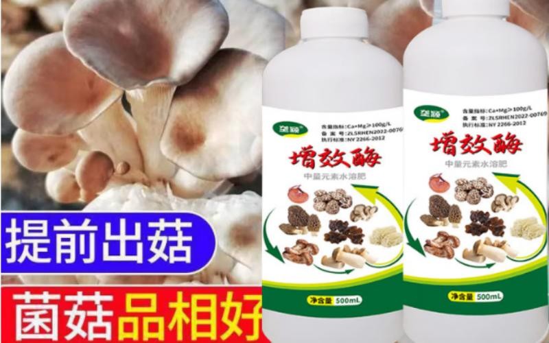 种地先拌种,苗齐苗壮产量高