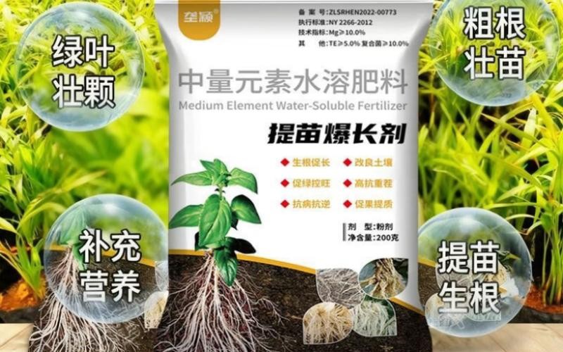 提苗爆长剂，作物生根壮苗好帮手